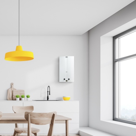 Газовая колонка Zanussi GWH 10 Fonte